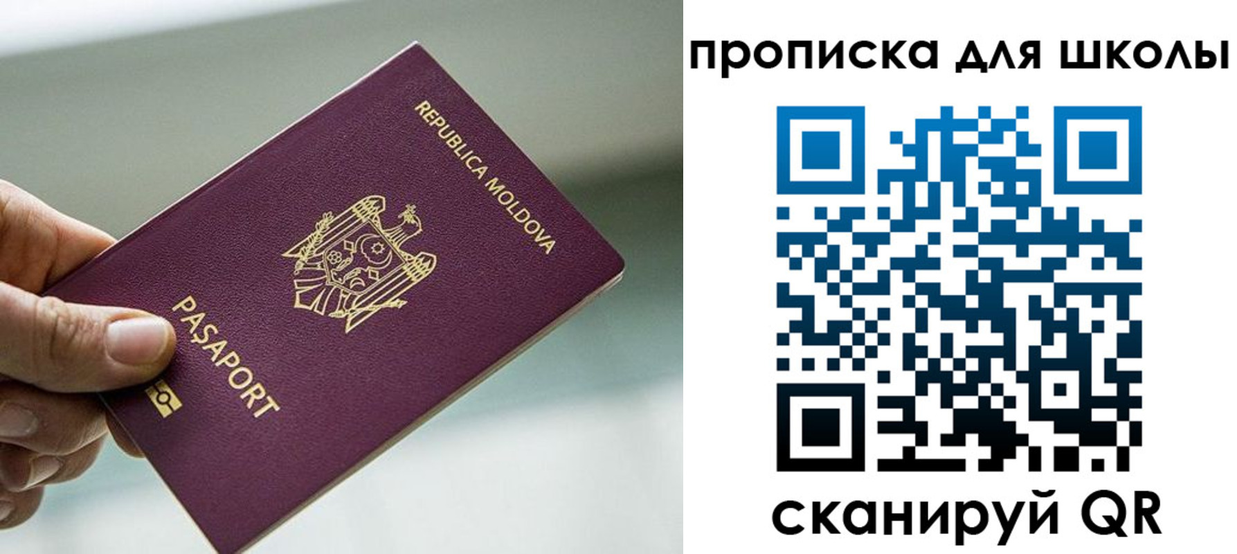 прописка в квартире в Новосибирской области